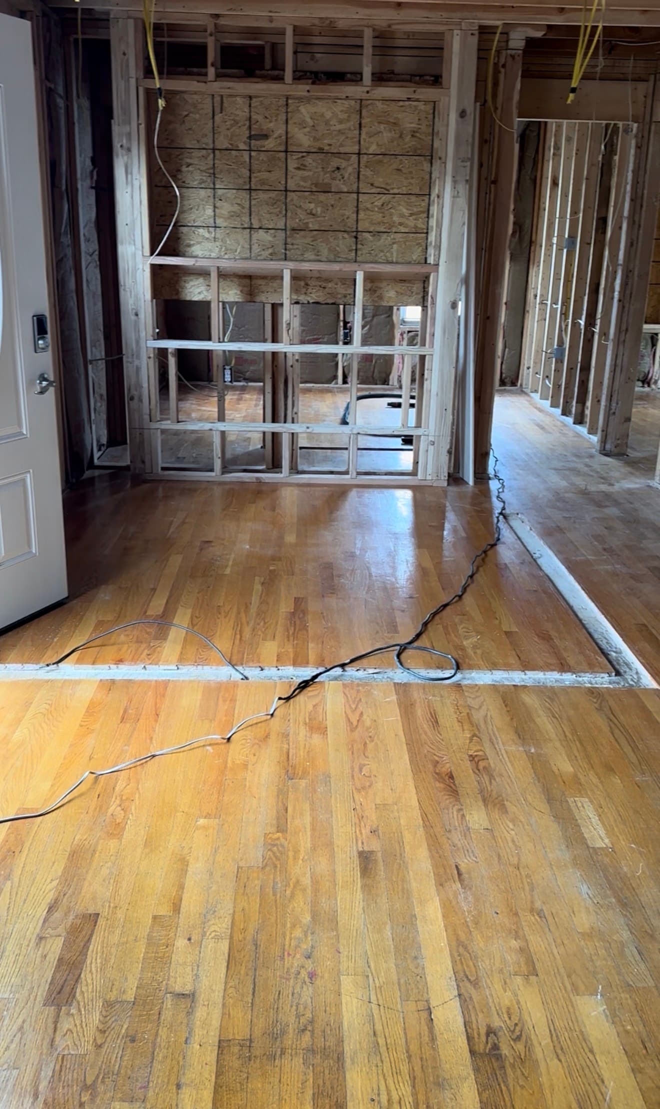 Interior home renovation featuring exposed wooden wall studs, plywood sheathing, and polished hardwood floors.